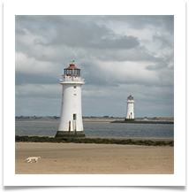 Lighthouse (and Then, There Were Two) - Chris Berg